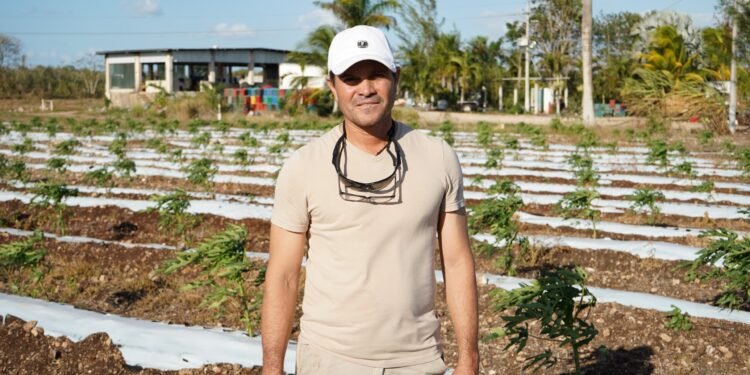 Mecanización de tierras impulsa la productividad del campo en Tizimín