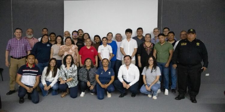 Temporada de tortugas marinas inicia con récord histórico en Yucatán