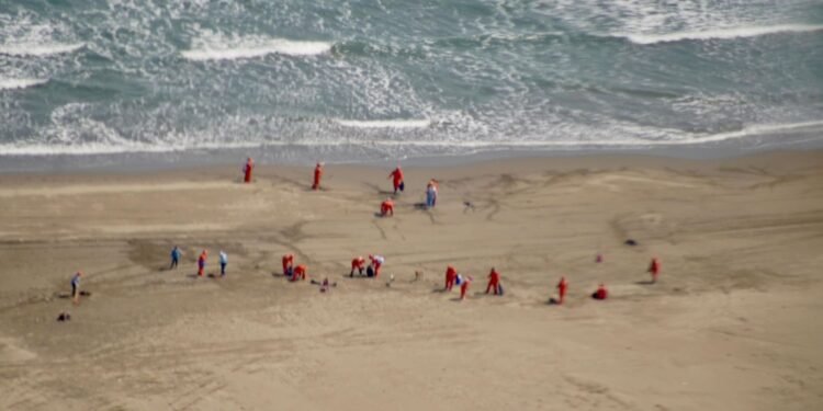 Gobierno concluye contención de hidrocarburos en el Golfo y avanza limpieza de playas