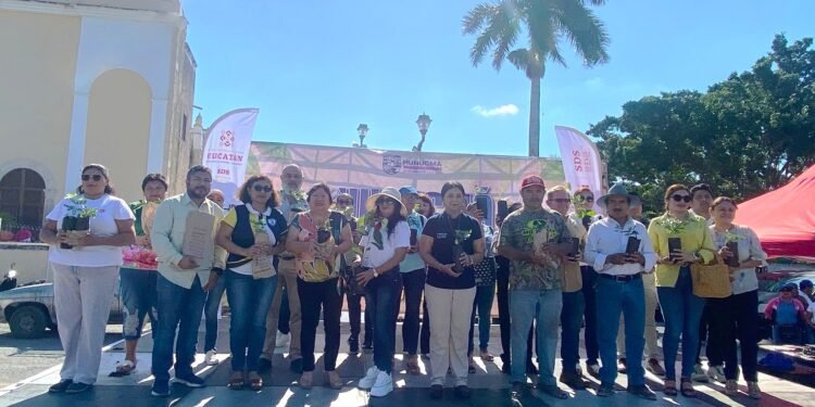 Para salvar a las abejas y bajar el calor se reparten cinco mil plantas en Hunucmá