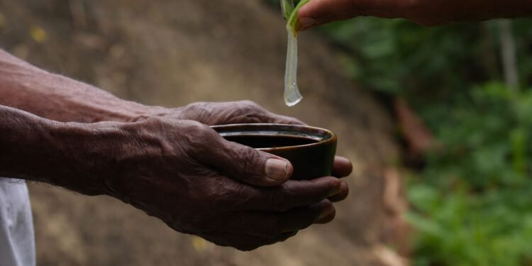 La ONU celebra el Día Mundial de la Vida Silvestre 2026 y destaca el valor de las plantas medicinales