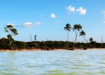 Yucatán se mantiene a salvo de derrame petrolero; refuerzan vigilancia en costas