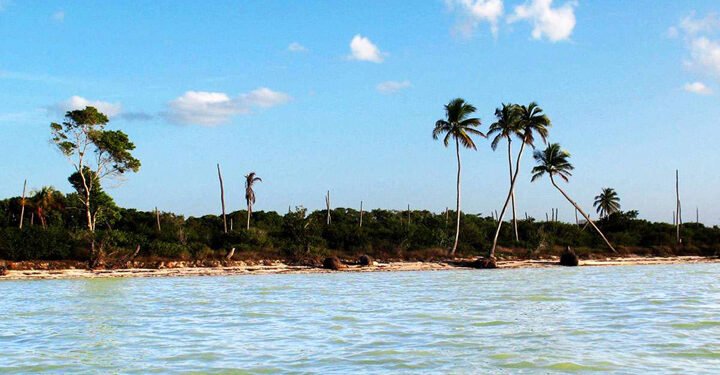 Yucatán se mantiene a salvo de derrame petrolero; refuerzan vigilancia en costas