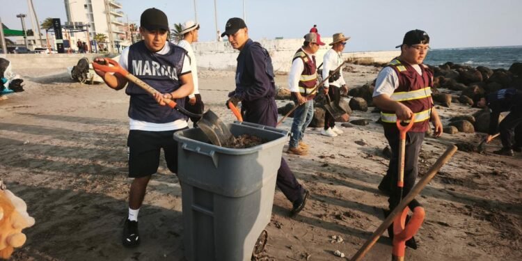 Gobierno refuerza acciones por presencia de hidrocarburos en costas del Golfo de México