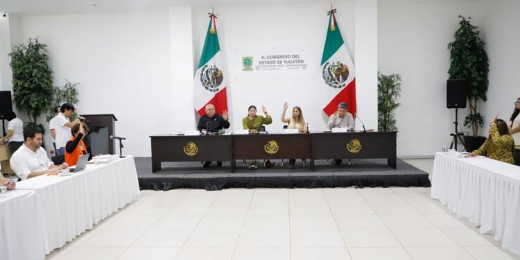 Congreso da paso a medidas para frenar la obesidad infantil desde las aulas