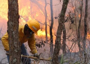 Se triplican puntos de calor en Yucatán al inicio de la temporada seca