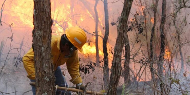 Se triplican puntos de calor en Yucatán al inicio de la temporada seca