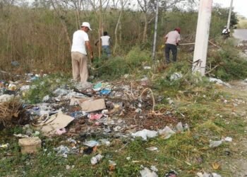 Ofrecen 80% de descuento en multas para propietarios que limpien predios baldíos