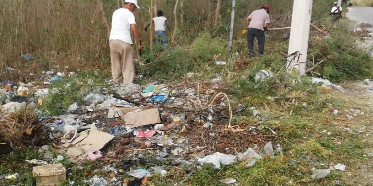 Ofrecen 80% de descuento en multas para propietarios que limpien predios baldíos