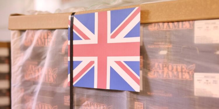 Yucatán logra envío histórico de mamey al Reino Unido y abre nuevo mercado internacional