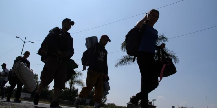 Hay 13 mil connacionales detenidos por ICE; van 13 muertes bajo su custodia: SRE