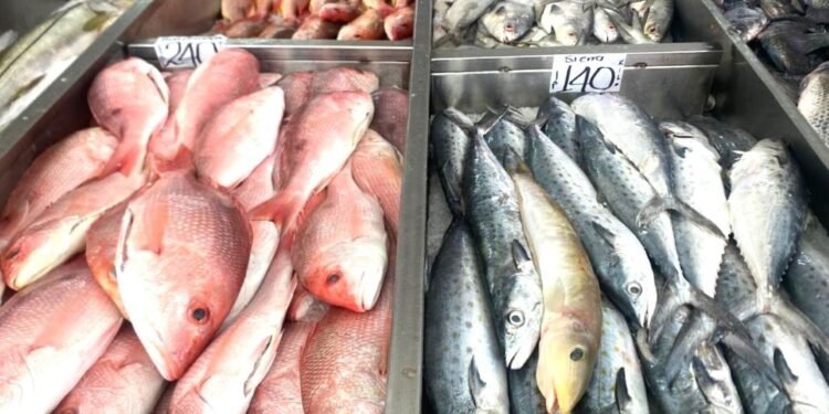 En Yucatán, uno de cada tres pescados no es lo que te venden: Oceana