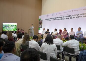 Impulsan conservación de la selva maya con inversión de 11.9 mdd
