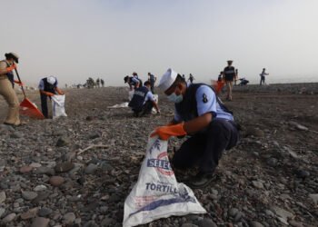 Retiran más de 740 toneladas de contaminantes en playas y altamar