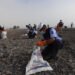 Retiran más de 740 toneladas de contaminantes en playas y altamar