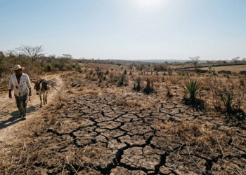 Sequía comienza a presionar: tres municipios ya enfrentan nivel severo