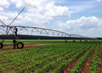 Productores pueden solicitar apoyos para tecnificar sistemas de riego, ¿cómo hacerlo?