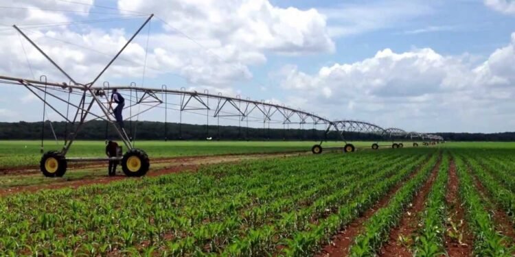 Productores pueden solicitar apoyos para tecnificar sistemas de riego, ¿cómo hacerlo?