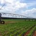 Productores pueden solicitar apoyos para tecnificar sistemas de riego, ¿cómo hacerlo?