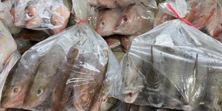 Boom de mariscos en Cuaresma dispara hasta 70% la venta informal: Canaco