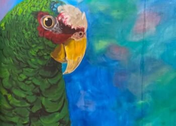 Un Loro Frente Blanca se convierte en el “guardián” del nuevo módulo veterinario