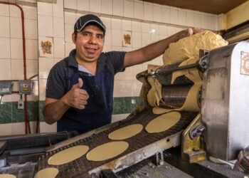 ¿Buscas bajar costos en tu tortillería? Este programa abre la puerta