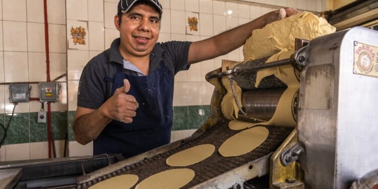 ¿Buscas bajar costos en tu tortillería? Este programa abre la puerta