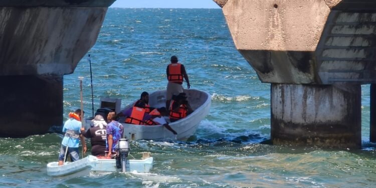Redes más ligeras: Pesca en Yucatán sin afectaciones por diésel, pero con baja en capturas