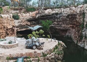 Profepa frena obras en Abalá tras detectar afectaciones en selva y perforación de cenote