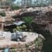 Profepa frena obras en Abalá tras detectar afectaciones en selva y perforación de cenote