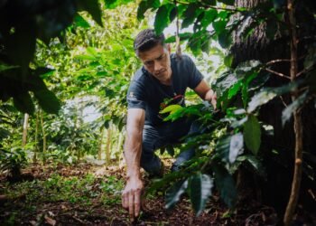 CAFFENIO celebra 85 años innovando la experiencia del café en México