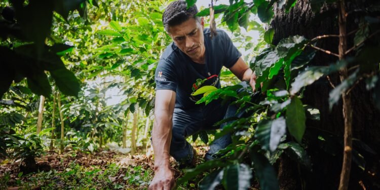 CAFFENIO celebra 85 años innovando la experiencia del café en México
