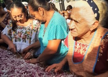 Chumayel llora con sabor; el “Dzan Cebolla” abre camino a su fiesta mayor