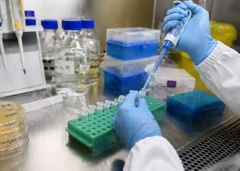 El “escudo” de las plantas llega al laboratorio; crean resveratrol con bacterias en México