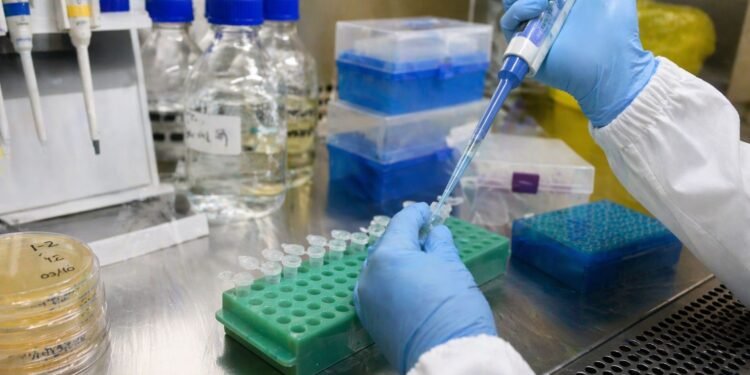 El “escudo” de las plantas llega al laboratorio; crean resveratrol con bacterias en México