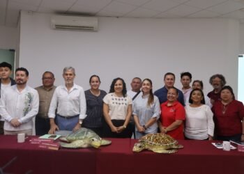 Ya es temporada de tortugas; Yucatán protege sus playas para recibirlas