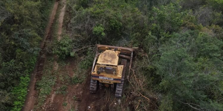 Cuxtal no se toca; obligan a reparar daño ambiental