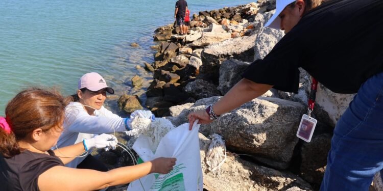 Avanza limpieza en Playa Cerditos; reducen más del 50% de residuos