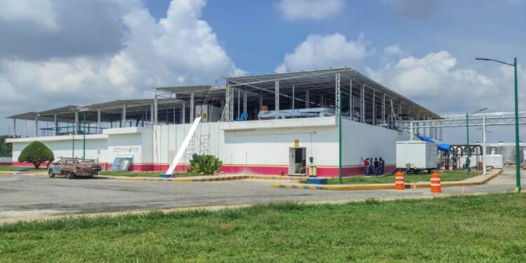 Refuerzan cerco sanitario contra gusano barrenador; planta en Chiapas va al 75%