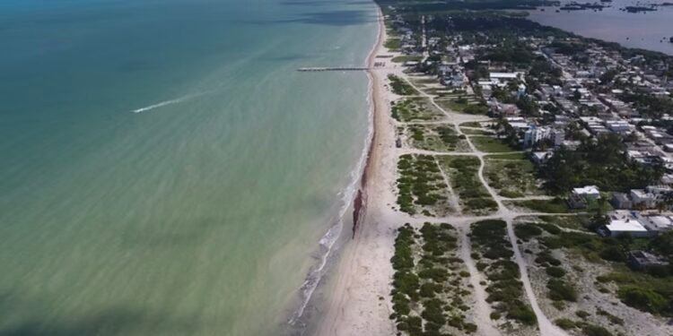 ¿Sabes qué pasa si dañan las dunas? Así tendrán que repararlo en Sisal