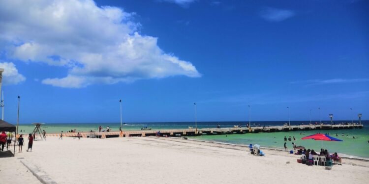 Dejan fuera al turismo, la playa Telchac será exclusiva para investigación del Cinvestav