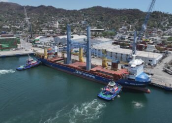 Inversión portuaria acelera en Manzanillo; TIMSA suma grúas de alta capacidad