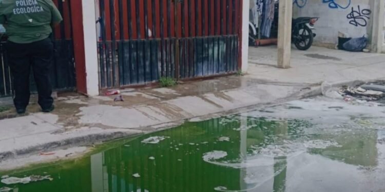 Cuidado: aguas jabonosas elevan riesgo sanitario y de inundaciones. ¿Lo sabías?