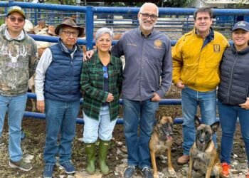 UNAM apuesta por perros entrenados para frenar el gusano barrenador