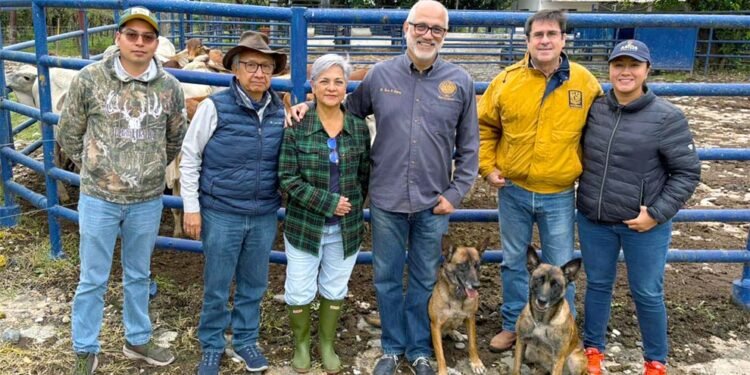 UNAM apuesta por perros entrenados para frenar el gusano barrenador