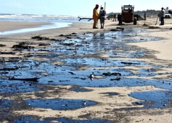 Derrame en Veracruz: la tragedia ambiental que afecta las actividades económicas del puerto