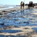 Derrame en Veracruz: la tragedia ambiental que afecta las actividades económicas del puerto