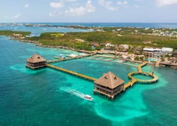 Profepa aclara situación de delfines en Dolphin Discovery en Cancún