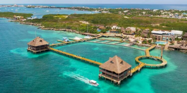 Profepa aclara situación de delfines en Dolphin Discovery en Cancún