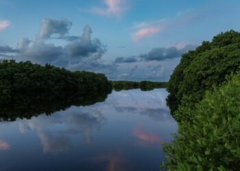 El Palmar bajo vigilancia: refuerzan seguridad para evitar daño al ecosistema